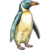 Pingouin cool