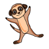 Suricate