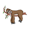 Sleeping sloth