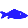 poisson