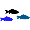 Pisces