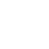 Cat Cat Kitten Cat Lady
