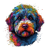 Bunter Lagotto Romagnolo