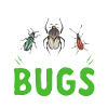 Insektsamlere, insekter, billeelskere, entomologer