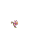 front 57511606848196513