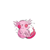 Axolotl Lover Gifts