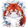 Petit panda