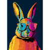 Rabbit with Sunglasses