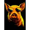 Pig with Sunglasses