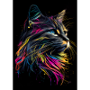 Abstract Cat