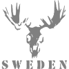 Moose skull sweden