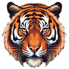 Tiger Head Tiger Lover