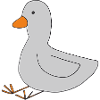 Duck Grey