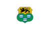 Irish Ireland Leitrim Flag