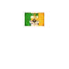 Irish Ireland Offaly Flag