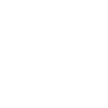 Skull Logo