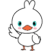 Momo the duck