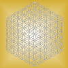 Blume des Lebens silber - 5. Dimension