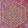 Magdalene - Flower of Life - 8th Dimension