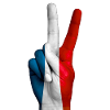 Drapeau français signe victoire. France