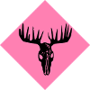 Elch-Schädel