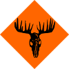 Moose Skull