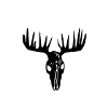 Moose Skull