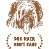 Dog hair dont care