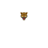 Jaguar Heartbeat