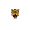 Jaguar Mom Mama