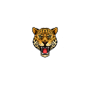 Jaguar Dad