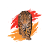 Jaguar Mamie
