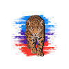 Jaguar Grandpa