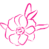 Flower Flower Plant
