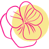 Flower Flower Plant