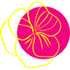 Flower Flower Plant