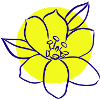 Flower Flower Plant