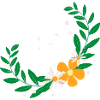 Flower Flower Plant