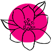 Flower Flower Plant