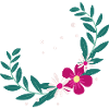 Flower Flower Plant