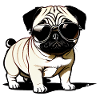 Mops Hund mit Sonnenbrille