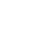 Paradise Bird