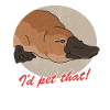 Platypus Platypus Gift