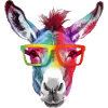 Hian the bespectacled donkey