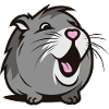 Cheerful Guinea pig / Hamster – Heart