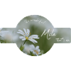 Mila