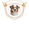 Australischer Schäferhund, Aussie-Mutter