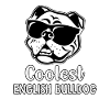 Coolest English Bulldog