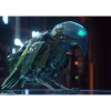 Neon Avian