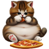 Pizza lover cat